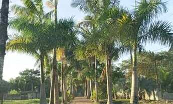 Imagem 2: Lotes 450,90 Mensais no Litoral Sul