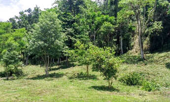 Imagem 4: Sitio 7 Hectares Delfim Moreira /MG Excelente Oportunidade em Permuta!