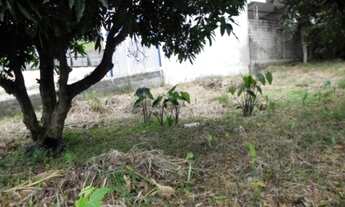 Imagem 6: Terreno - Mogi das Cruzes