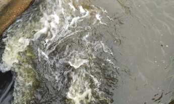 Imagem 6: FAZENDA COM 252 HECTARE NA REGIÃO AGROVILA