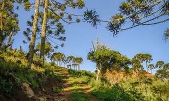 Imagem 7: URUBICI - Morro da Igreja- Lote/Terreno à venda tem 20.000m² - Urubici - SC
