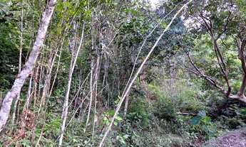 Imagem 7: Terreno em Anitápolis - 3hectares