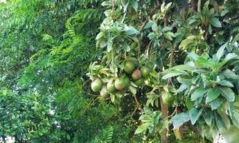 Imagem 3: VENDO TROCO CHACARA 1300m REGIAO SOROCABA ( LR1002