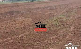 Imagem 3: Fazenda em Caiapônia-GO. > 90 Alq. (436 Há