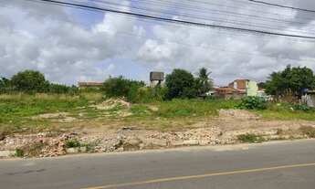 Imagem: Área no Rosa Elze