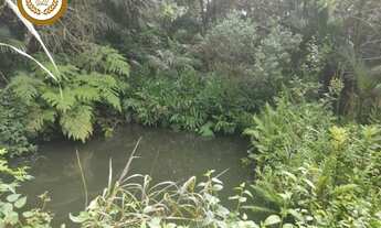 Imagem 2: Lote / terreno CAMPININHA SAO ROQUE SP Brasil