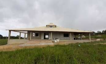 Imagem 3: Fazenda com 19 hectares em São Vicente de Paula