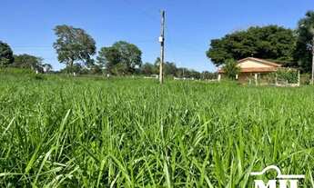 Imagem 4: Chácara 09 alqueires (43,56 Há) Jussara - GO