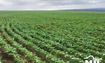 Imagem 2: Fazenda Sudoeste Goiano. (Irrigada e Sequeiro). > 620 Alq. (3.000 Há)