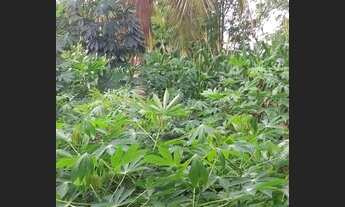 Imagem 3: Chácara na estância Galileia