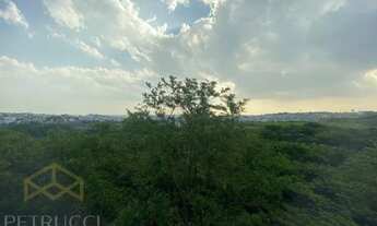 Imagem 3: Sala - Swiss Park - Campinas