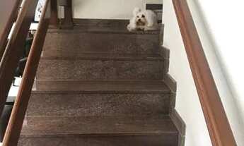 Imagem 6: Sobrado na Reserva Especial do Bosque dos Eucaliptos, 228 m2, Fino acabamento com 4 dormit