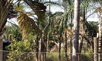 Imagem 5: VENDO OU TROCO Chácara com venda por R$180.000