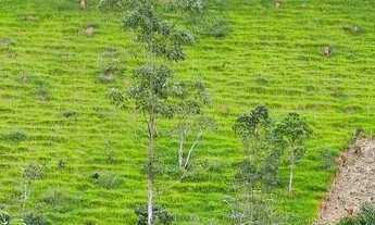 Imagem 4: Sitio Chácara com venda por R$330.000