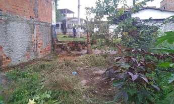 Imagem 3: Terreno em ilha de bom despacho