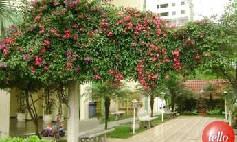 Imagem: São Paulo - Apartamento Padrão - Parque