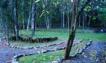 Imagem 5: Chácara com 3 dormitórios à venda, 3000 m² - Mato Dentro - Mairiporã/SP