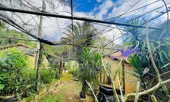 Imagem 6: Chácara - Dois Córregos - Valinhos