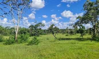 Imagem 4: Fazenda 12 alqueires