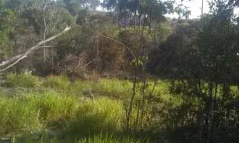 Imagem 5: Vende-se este terreno