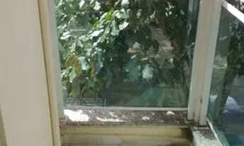 Imagem 7: Apartamento para aluguel com 2 quartos em Realengo - Rio de Janeiro - RJ