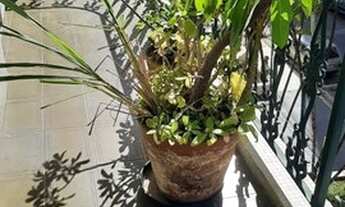 Imagem 6: APARTAMENTO - BROOKLIN - SP