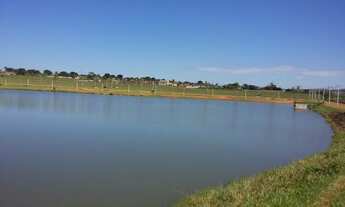 Imagem 7: Aluga-se uma Casa em GOIANIRA