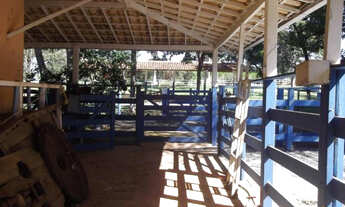 Imagem 5: Fazendinha de 40.000m² Baldim (Temos mais opções