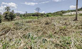 Imagem 5: Atibaia SP Sítio 20.000 m² C/Escritura Definitiva AC/Imóveis e Veículos
