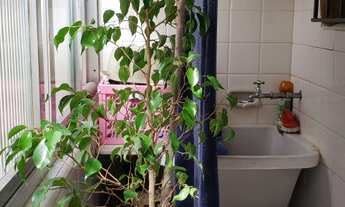 Imagem 10: APARTAMENTO TÉRREO