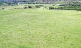 Imagem 3: FAZENDINHA 17 ALQUEIRES!!!PROXIMO MONTES CLAROS!!!$