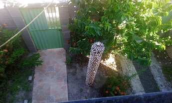 Imagem 3: Vendo 3 casa na ilha de vera Cruz Barra Grande