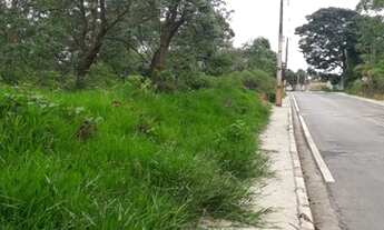 Imagem 4: FRANCO DA ROCHA - AREA - CHÁCARAS DAS COLINAS