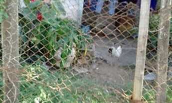 Imagem 5: Terreno Jardim Três Marias São Bernardo do Campo