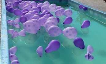 Imagem 3: Rural - Mogi das Cruzes