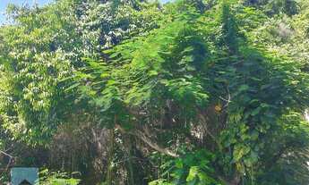 Imagem 6: Apartamento 1 qto, em Icaraí