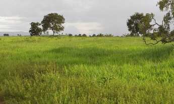 Imagem: 425 alqueiros município de Doverlandia