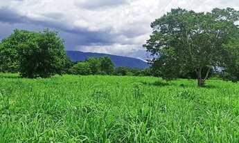 Imagem 2: Fazenda de 120 alqueires em flores Goiás