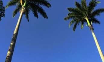 Imagem 2: Saquarema - Casa Padrão - Barreira