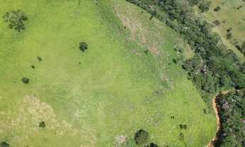 Imagem 3: Linda área de 10 alqueires em Monteiro Lobato