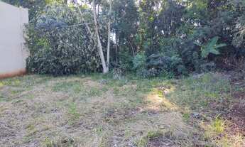 Imagem 5: Venda de terreno Rio Ivaí...