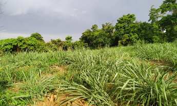 Imagem 6: SAQUAREMA - Terreno Padrão - PORTO DA ROÇA I