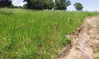 Imagem 6: Fazenda município de Crixás 128 alqueires!!