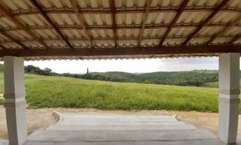 Imagem 5: Fazenda com 19 hectares em São Vicente de Paula