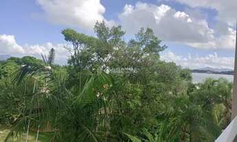 Imagem 6: Apartamento para venda possui 49 metros quadrados com 1 quarto em João Paulo - Florianópol