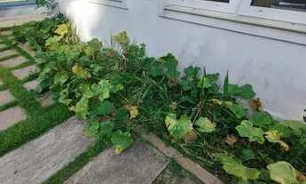 Imagem 4: Casa para aluguel tem 280 metros quadrados com 3 quartos em Vargem Grande