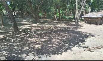 Imagem 2: Vendo Sítio Chácara com venda por R$350.000