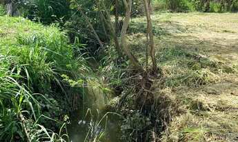 Imagem 4: Chácara 2.357 metros plano