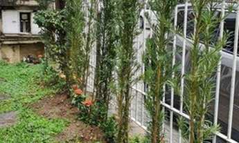 Imagem 6: CASA ASSOBRADADA - VILA GUILHERME - SP