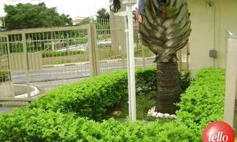 Imagem 3: São Paulo - Apartamento Padrão - Parque São Lucas